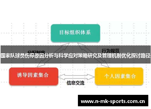国家队球员伤停原因分析与科学应对策略研究及管理机制优化探讨路径